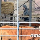 김기준농장 이미지