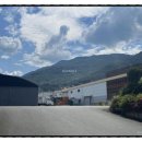 (주)셀푸드인터내셔널 이미지