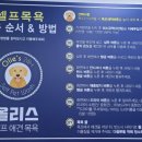 올리스 펫 호텔 이미지