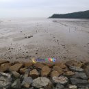 장흥숲길캠핑장 이미지