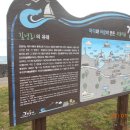 남당알 이미지