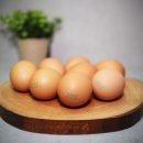 양계장농장 이미지