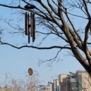 시조.소리마당 이미지