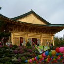 수국사 이미지