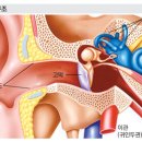광교 덴마크보청기 이미지