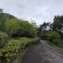 숲속의 집 이미지