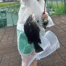 천혜바다낚시터 | 인천 영종도 24시간 바다낚시터 &#39;천혜사랑바다낚시터&#39; 주말 방문 솔직 후기