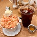 2020055 | 대구시내 동성로 슬로우터틀-케이크&amp;빙수 맛집 n번째 방문 후기