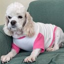 황자반놀이터 이미지