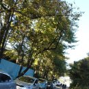 북수원셀프주유소 이미지