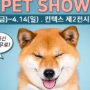 프리미엄펫 이미지