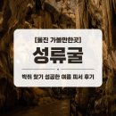 5404 | [울진 가볼만한곳] 여름 피서로 딱! '성류굴' 후기 (박쥐 찾기 성공)