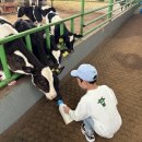 우주목장 이미지