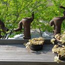 청수정가든 이미지