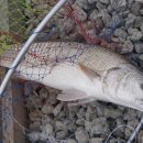 k1한국바다낚시터 이미지