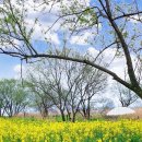 나주종합스포츠파크 건너편 이미지