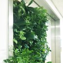 안양시청 앞 이미지