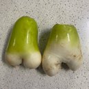 태웅민박 | 12월 1~12일 일기 📚