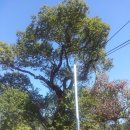 시골나들이 이미지