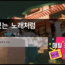 핑클노래바