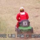 나무나무