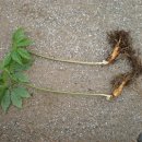 금산4구 이미지