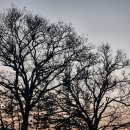 홍천은하수별빛마을 이미지