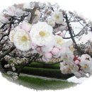 형규농장 이미지