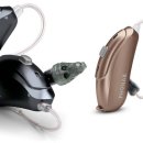 마포좋은보청기 이미지