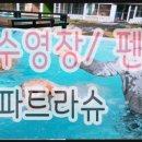 파트라슈 (주)