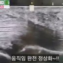 케이스대학