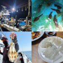 ㈜제주스타렌탈 | 제주도 낚시체험 2025년 첫 제주 팁런 낚시 서귀포 광명호 무늬오징어 회 제주후크