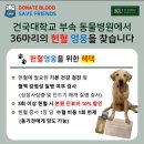 건국대학교 부속 동물병원 이미지