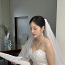 윤채경 카카오 검색결과