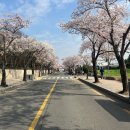 경주풀빌라 스테이태평 real 고객 후기. 경주숙소 리뷰 일곱번째