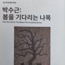 경복궁 걷기와 덕수궁 현대미술관 박수근 전시회 관람 이미지