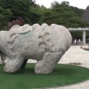 르코티