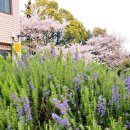 대흘보건진료소 이미지