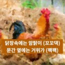 송간농장 이미지