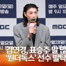 원더독 티스토리