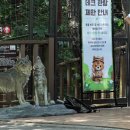 대전오월드 전남일보