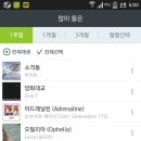 멜론노래 이미지