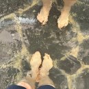 수안보우리의원 | 국내 온천여행 1박2일 수안보 가족여행 무료 족욕체험장 맛집 추천 가볼만한곳