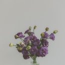 꽃을그리다 이미지