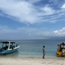 아동3통 | 발리 신혼여행 길리섬 스노클링 후기 바다거북이 스팟 공유, 발리 우기 스노클링 꿀팁