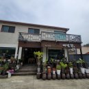 박경리 메밀향 이미지