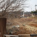 팔탄공인중개사사무소 이미지