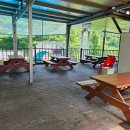 수목원펜션 | 🌲 장흥수목원펜션 솔직후기 | 내돈내산 / 가족여행 / 수영장 / 고양이 / 숲속 힐링