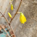 다시 봄 이미지