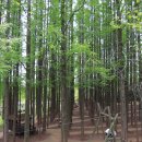 포동목장 이미지